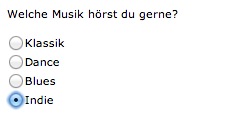Webformular mit Radio-Buttons statt Checkboxen